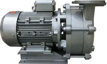 Bơm chân không vòng nước (thiết kế tích hợp)